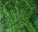 Preview image of product Medium Krystal Flash Chenille #282 Peacock