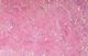 Preview image of product Medium Krystal Flash Chenille #30 Bonefish Pink