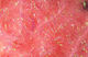 Preview image of product Medium Krystal Flash Chenille #343 Shrimp Pink
