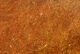 Preview image of product Brite Blend Dubbing Burnt Orange #087