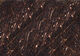 Preview image of product Lite-Brite Bronze Brown #002