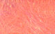 Preview image of product Lite-Brite Hot Coral #222
