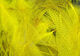 Preview image of product UV2 Mallard Flank Yellow #075
