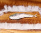 Preview image of product Minnow Body Wrap #284 Pearl White
