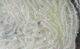 Preview image of product Midge Cactus Chenille #284 Pearl