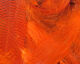 Preview image of product Mallard Flank Orange #271
