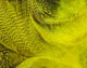 Preview image of product Mallard Flank Yellow #383