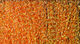 Preview image of product Midge Flash #271 Orange