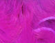 Preview image of product Micro Rabbit Strips #131 Fuchsia
