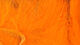 Preview image of product Micro Rabbit Strips #137 Fl Orange