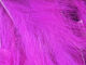 Preview image of product Micro Rabbit Strips #188 Hot Pink