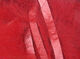 Preview image of product Micro Rabbit Strips #310 Red