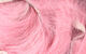Preview image of product Micro Rabbit Strips #329 Salmon Pink