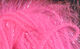 Preview image of product Medium Krystal Hackle #133 Fl. Hot Pink