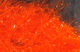 Preview image of product Large Krystal Hackle #187 Hot Orange