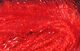 Preview image of product Large Krystal Hackle #310 Red