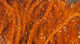Preview image of product Large Krystal Hackle #325 Rusty Orange