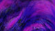 Preview image of product Micro Pulsator Strips #16 Blk Brd Purple Over Fuchsia