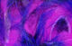 Preview image of product Micro Pulsator Strips #18 Purple Over Fuchsia