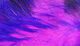 Preview image of product Micro Pulsator Strips #19 Purple Over Hot Pink
