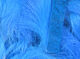 Preview image of product Magnum Rabbit Strips Fl Blue #125