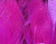 Preview image of product Magnum Rabbit Strips Fl. Fuchsia #131