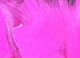 Preview image of product Magnum Rabbit Strips Fl.Pink #138 
