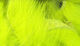 Preview image of product Magnum Rabbit Strips  Flo. Yellow Chartreuse #143