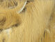 Preview image of product Magnum Rabbit Strips Tan #369