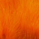 Preview image of product 1 Oz Marabou Blood Quills Fl Orange #137