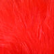 Preview image of product Marabou Blood Quills Fl Red #139