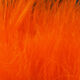 Preview image of product Marabou Blood Quills Hot Or #187