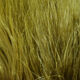 Preview image of product Marabou Blood Quills Olive #263
