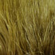 Preview image of product 1 Oz Marabou Blood Quills Ol Brown #265