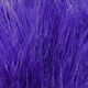 Preview image of product 1 Oz Marabou Blood Quills Purple #298