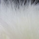 Preview image of product 1 Oz Marabou Blood Quills White #377