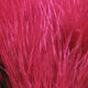Preview image of product 1 Oz Marabou Blood Quills Wine #380
