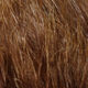 Preview image of product Marabou Blood Quills Brown #40