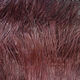 Preview image of product UV2 Marabou Dark Brown