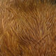 Preview image of product UV2 Marabou Med Brown