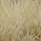Preview image of product UV2 Marabou Tan Ochre