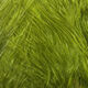 Preview image of product UV2 Marabou Med Olive