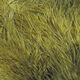 Preview image of product UV2 Marabou Olive Brown