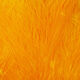 Preview image of product UV2 Marabou Golden Yellow