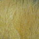 Preview image of product UV2 Marabou Ginger