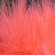 Preview image of product UV2 Marabou Shrimp Pink