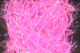 Preview image of product Micro UV Polar Chenille #UV Hot Pink