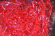 Preview image of product Micro UV Polar Chenille #310 UV Red
