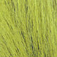 Preview image of product Large Northern Bucktail  Lt. Olive #212