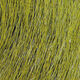 Preview image of product Large Northern Bucktail Olive #263
